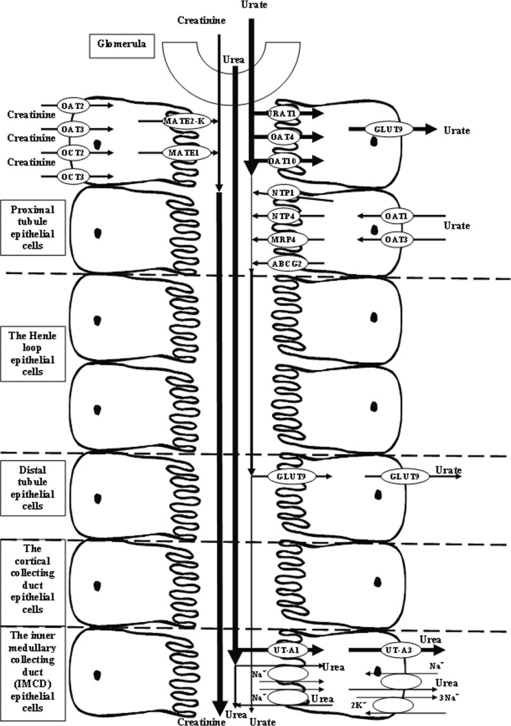 Fig. 7