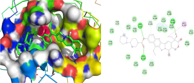 Fig. 12