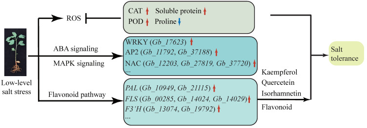 Figure 7