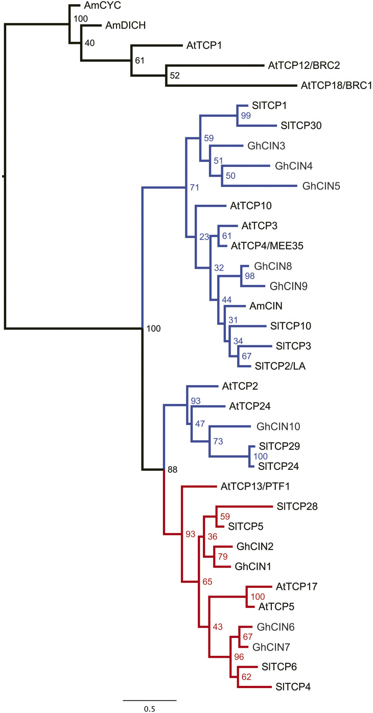 Figure 3.