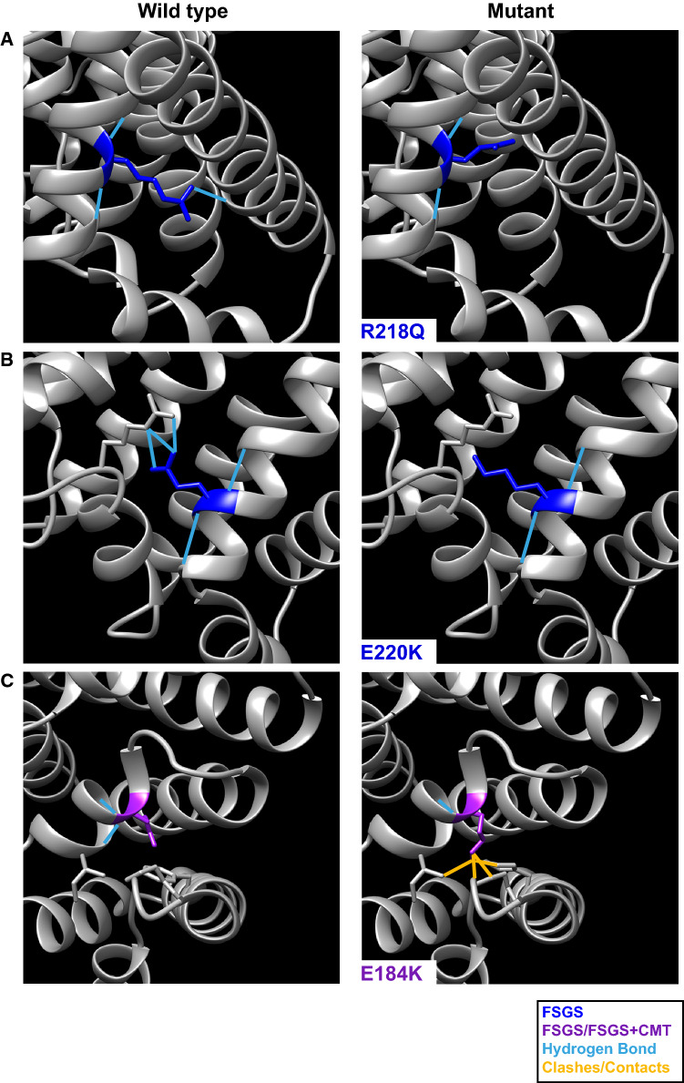 Fig. 7