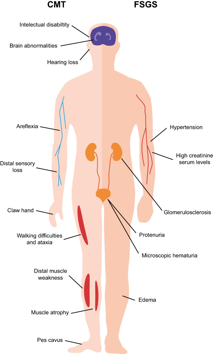 Fig. 3