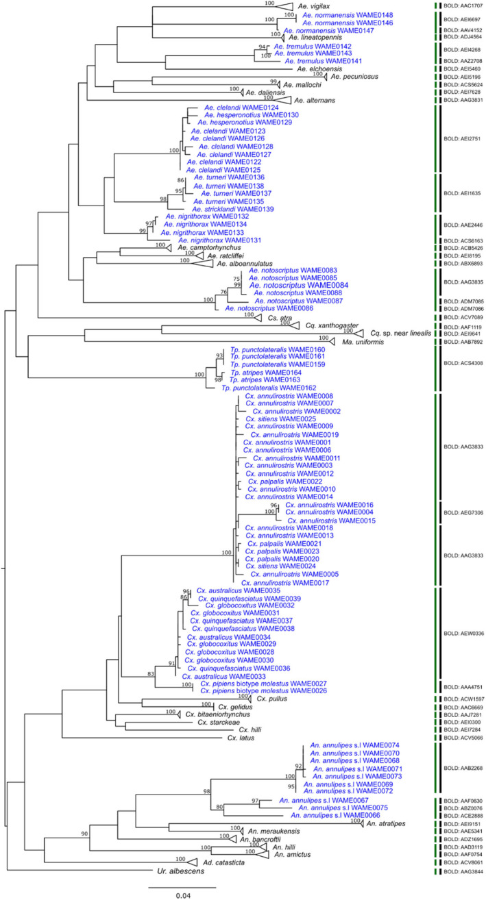 FIGURE 3