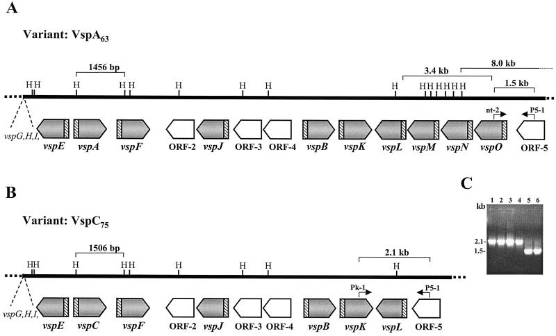 FIG. 3