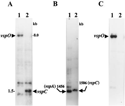 FIG. 5