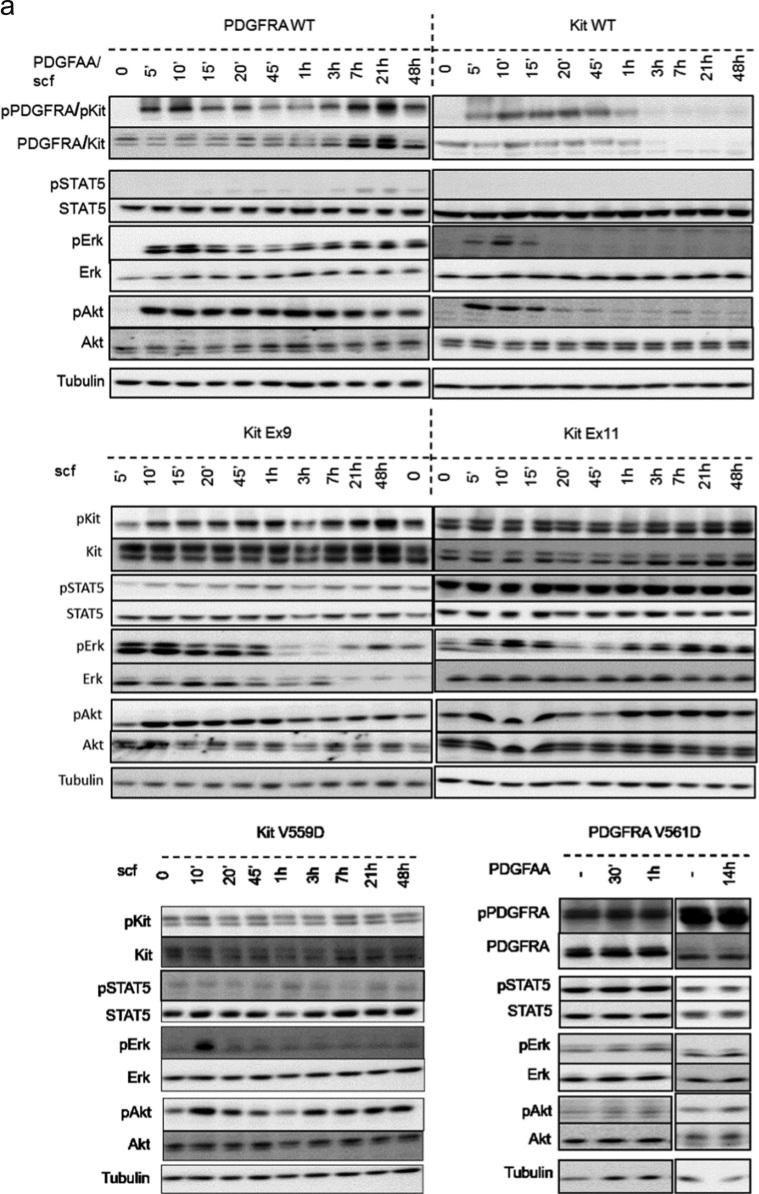 Fig. 3: