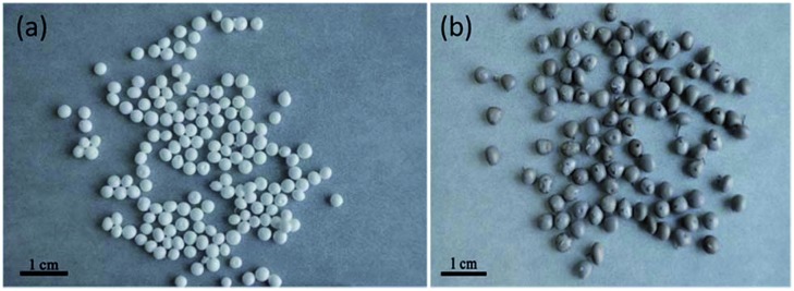 Fig. 37