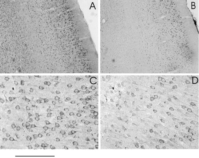 Fig. 10.