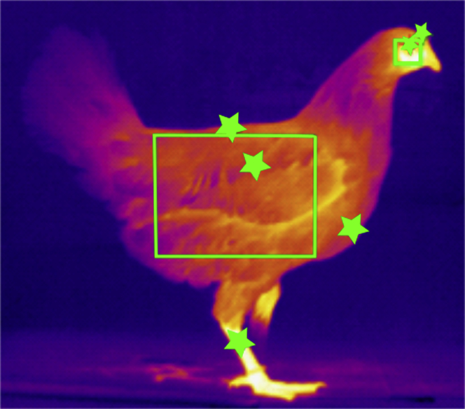 Figure 2