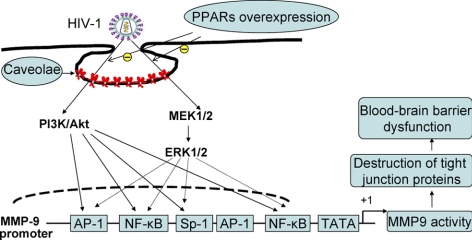 Figure 7.