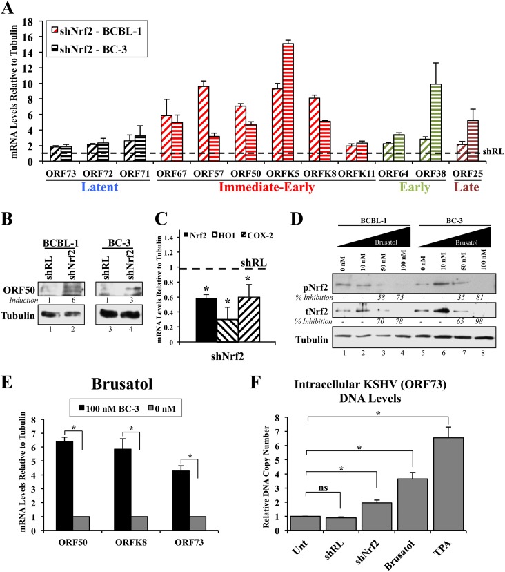 FIG 6