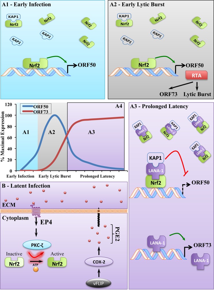 FIG 11