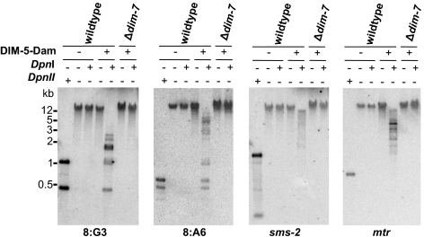 Fig. 5.