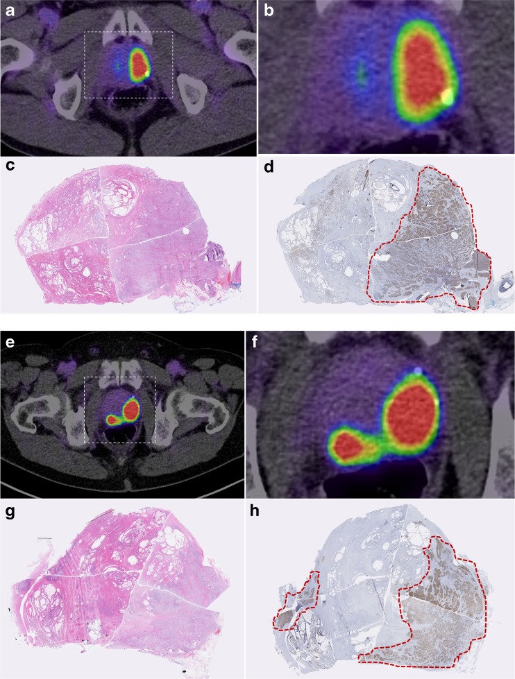 Fig. 6