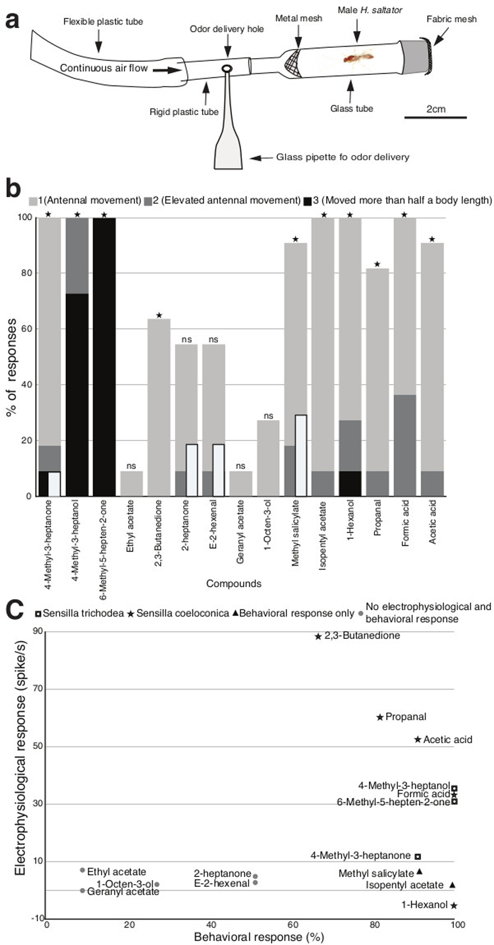 Figure 6: