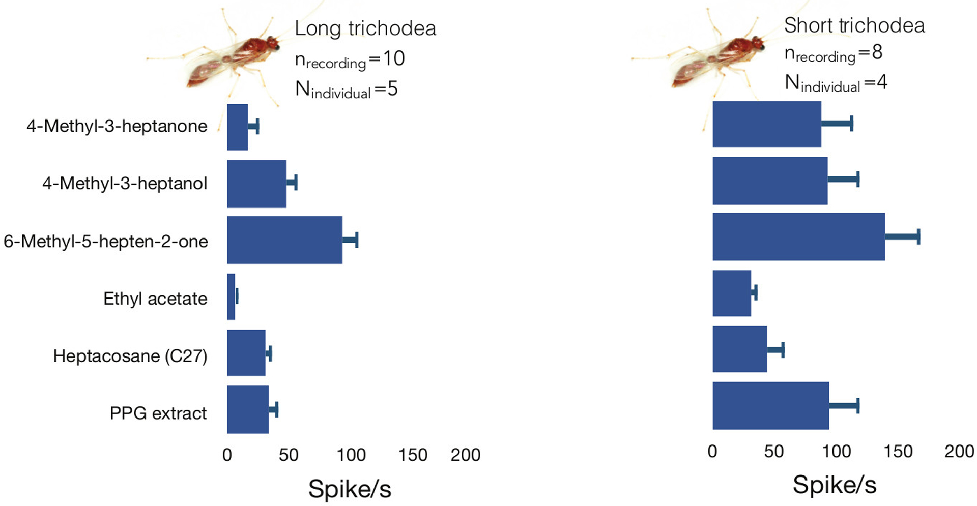 Figure 4: