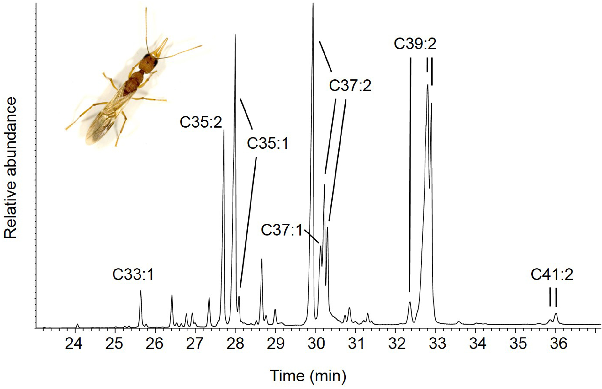 Figure 3: