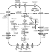 FIG 1