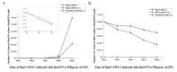 Fig 7