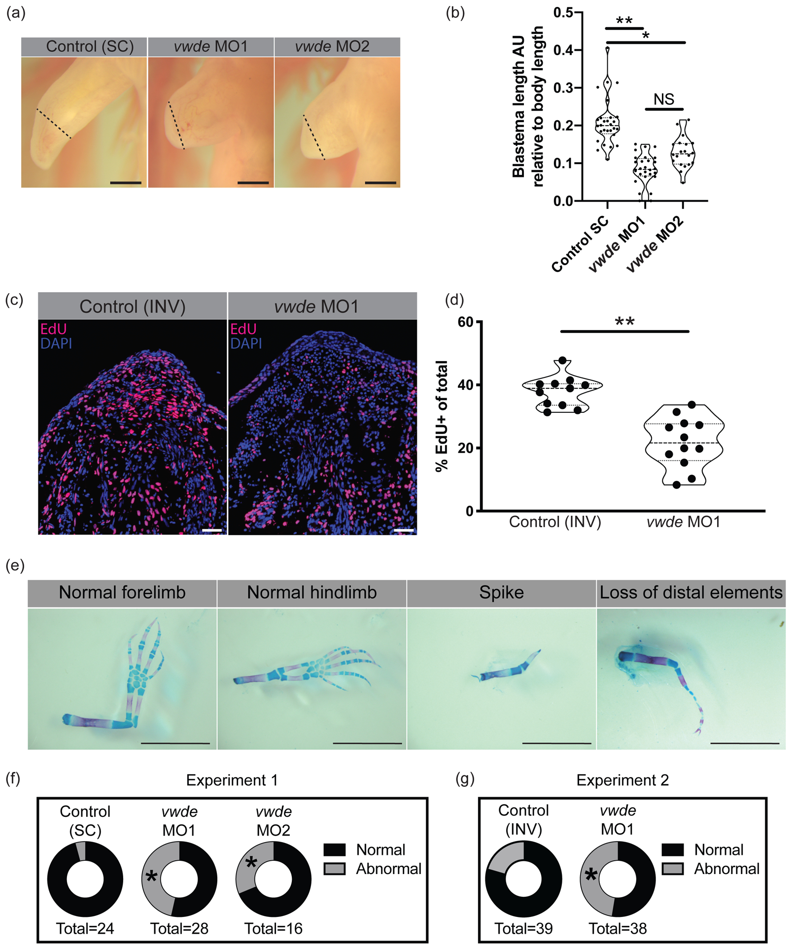 Figure 4: