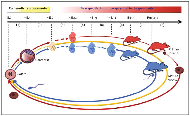 FIGURE 1