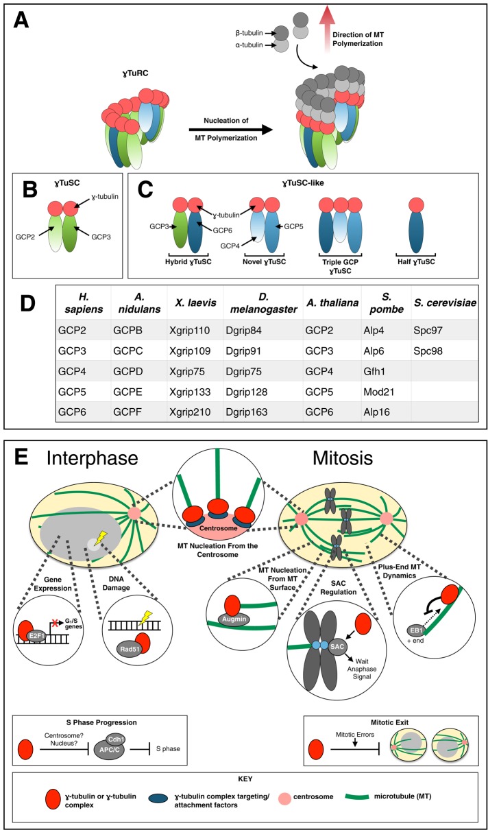 FIGURE 1: