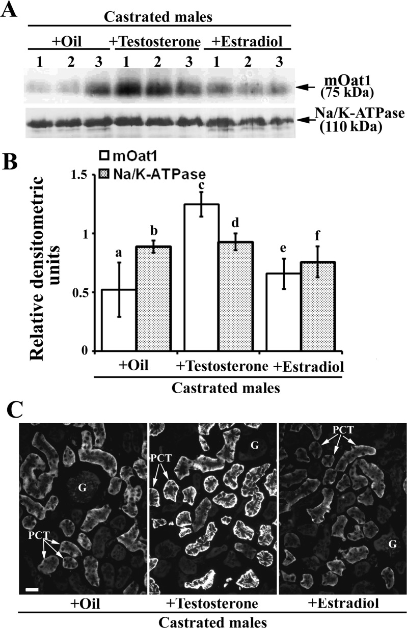 Fig. 12.