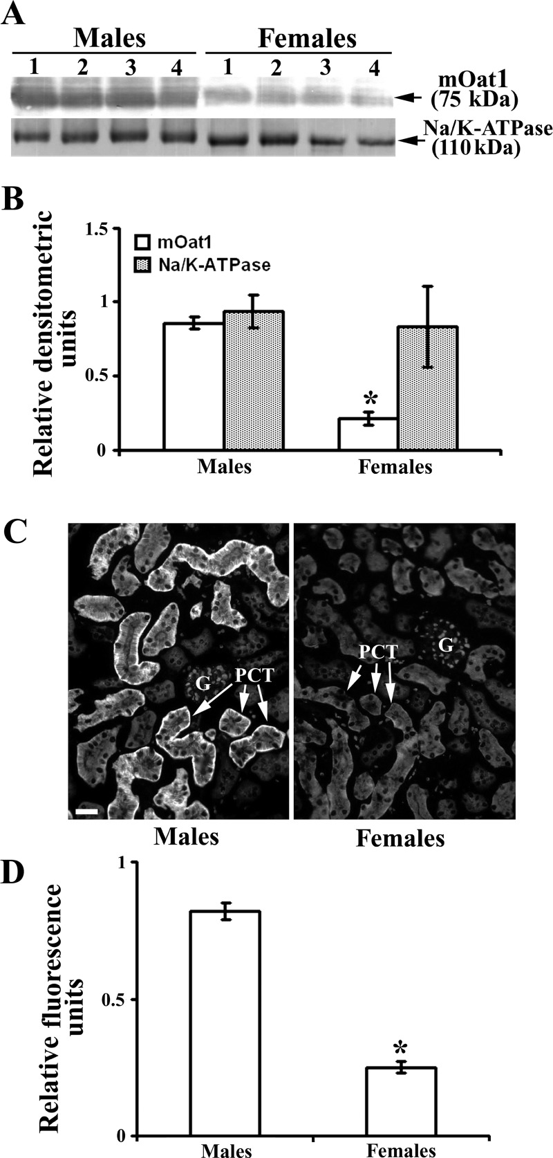 Fig. 10.