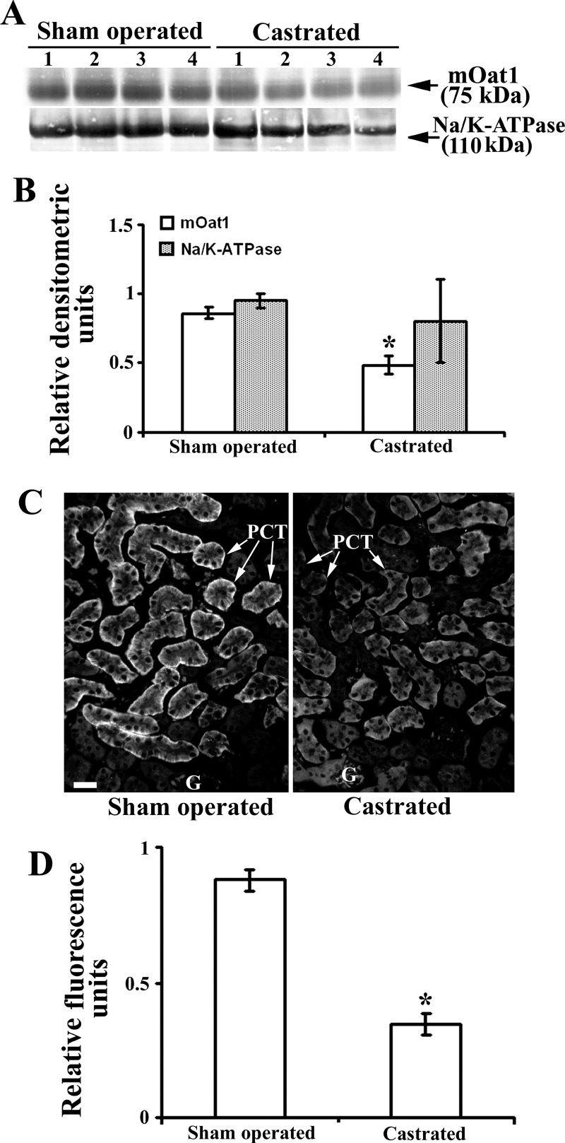 Fig. 11.