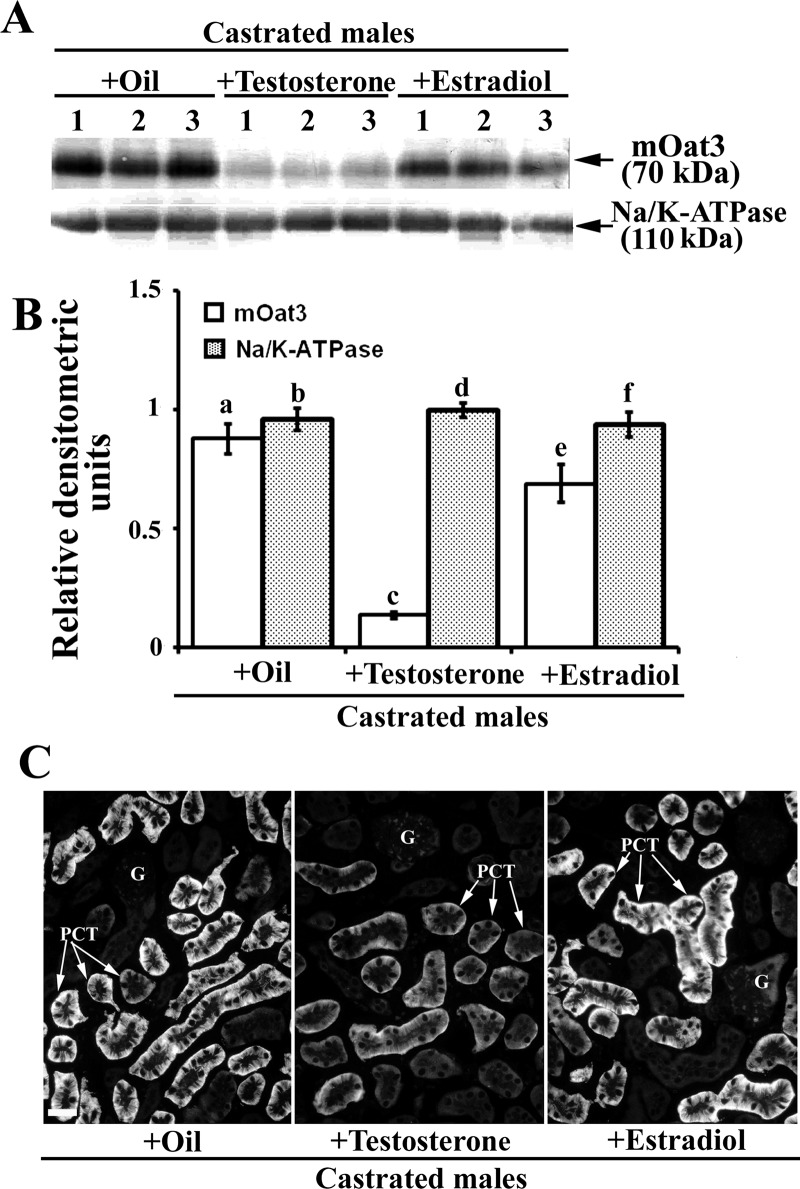 Fig. 9.