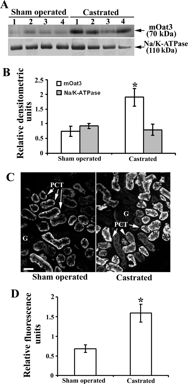 Fig. 8.