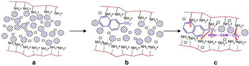 Scheme 11