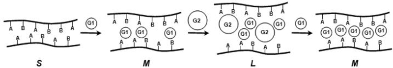 Scheme 6