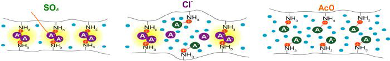 Scheme 3