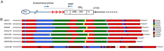 FIG 6