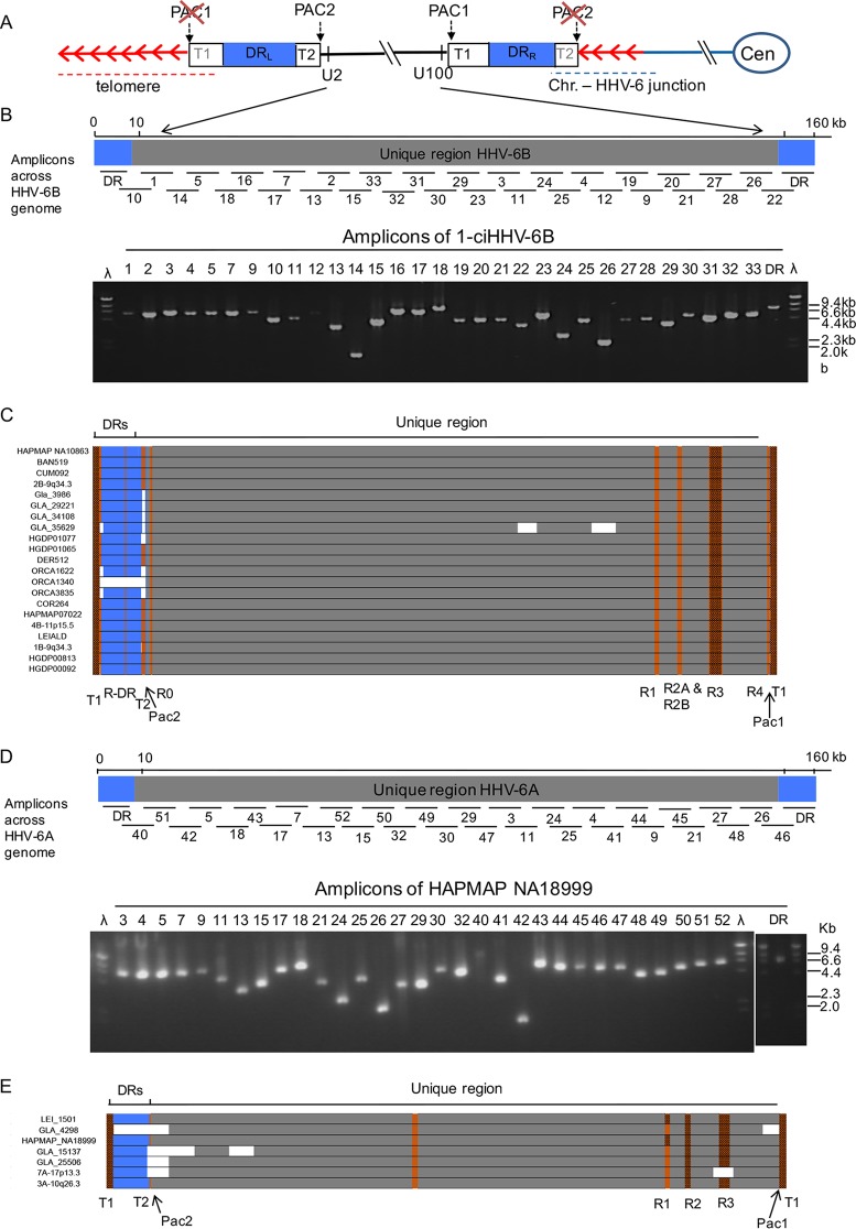 FIG 1