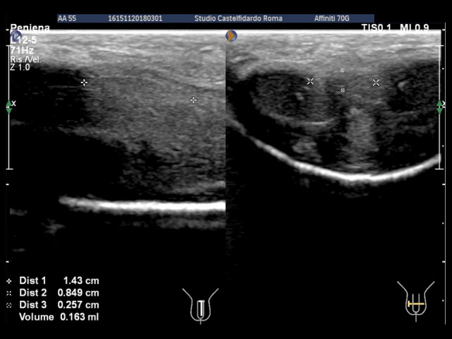 Figure 6.