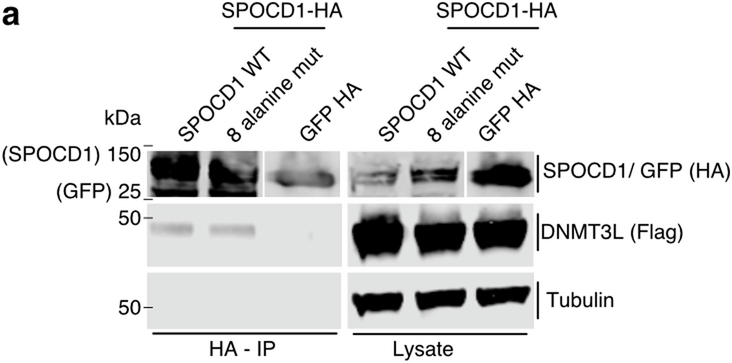 Extended Data Fig. 5