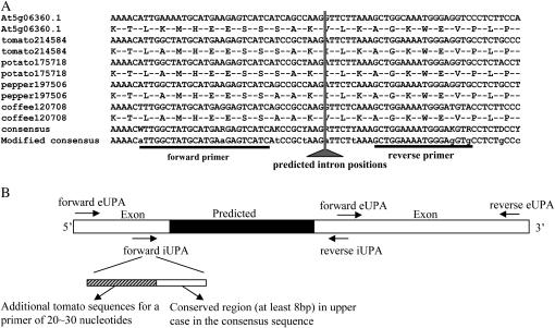 Figure 4.—