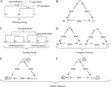 Figure 2.—