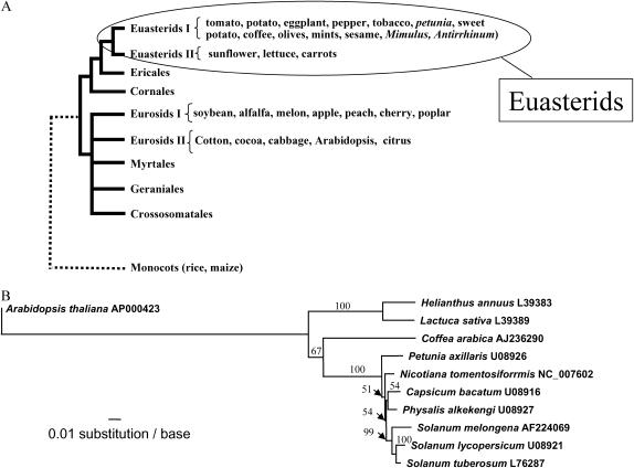 Figure 1.—