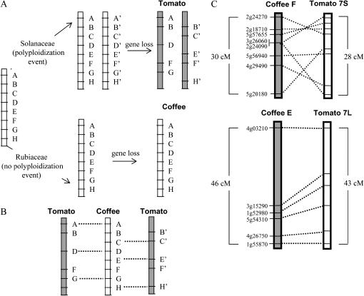 Figure 7.—