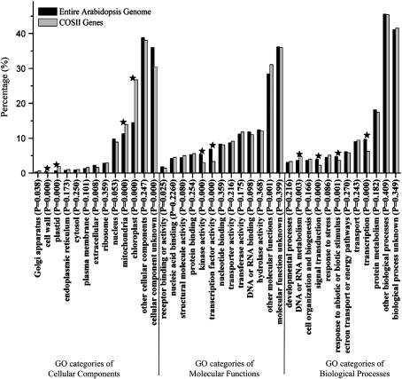 Figure 3.—