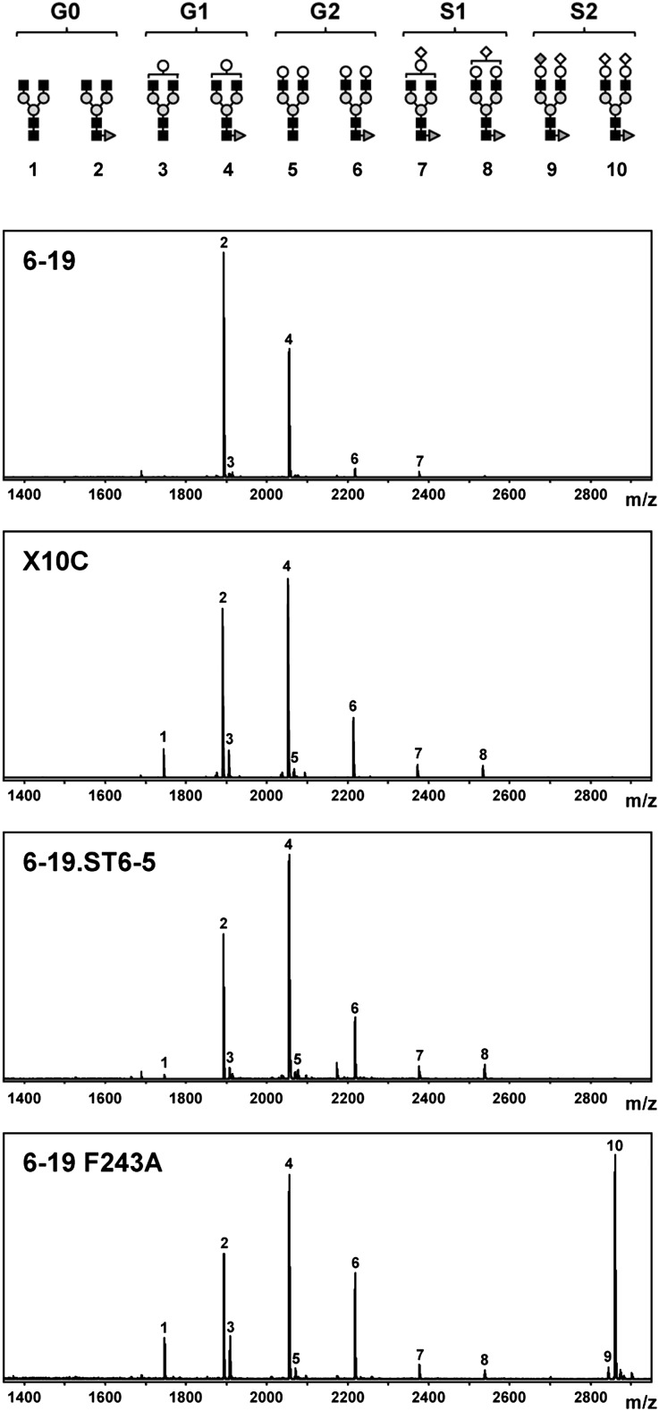 Figure 1.