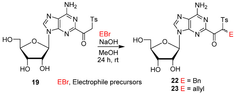 Scheme 4