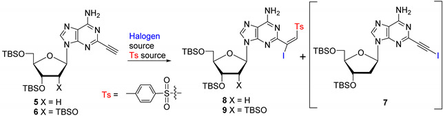 graphic file with name molecules-30-01358-i001.jpg