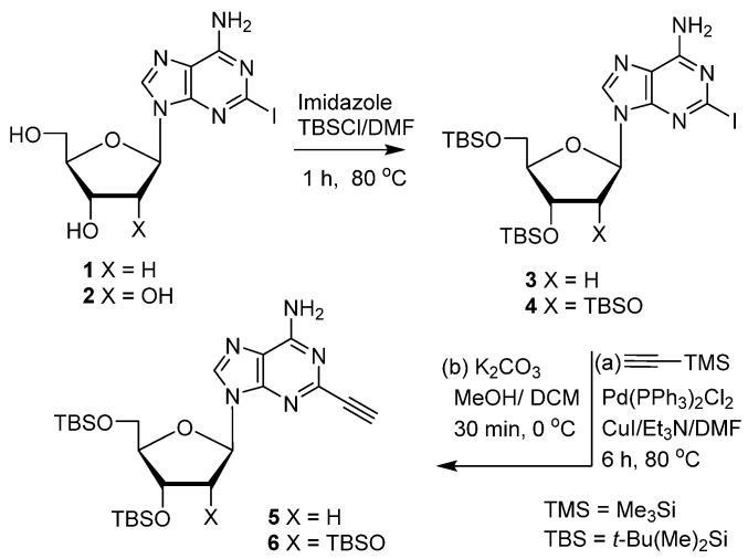 Scheme 1