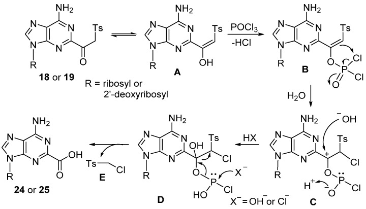 Scheme 6