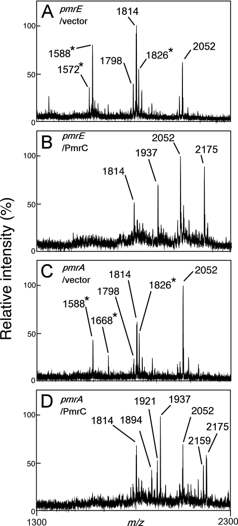 FIG. 8.