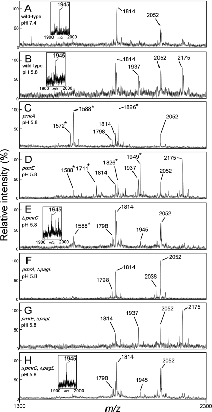 FIG. 2.